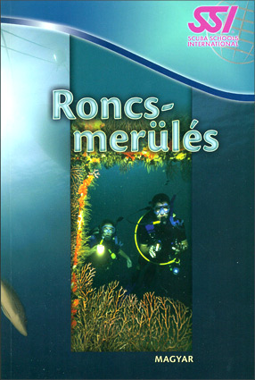 SSI Roncsmerülés