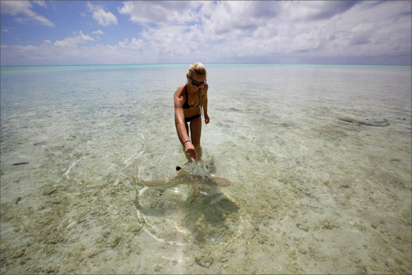 Ocean Ramsey
