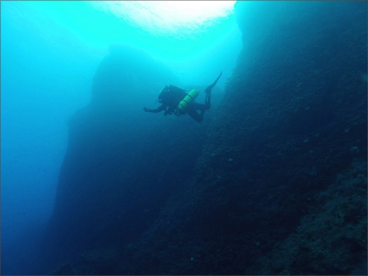 Woods Hole Oceanographic Institution